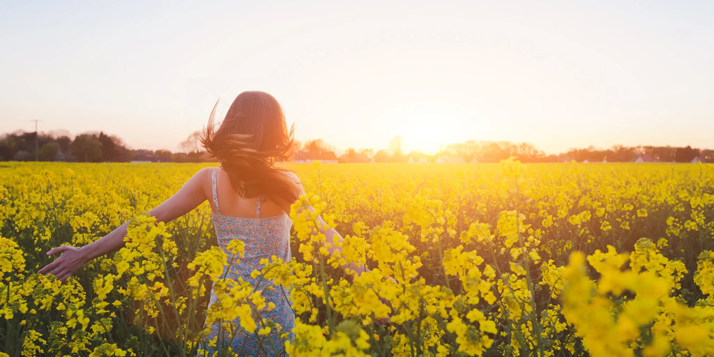 Jeune femme dans un champ au coucher du soleil. Elle caresse les fleurs avec inspiration et poésie