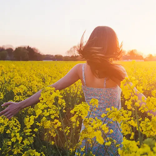 Femme dans un champ de fleurs au coucher du soleil, libre et heureuse, symbolique